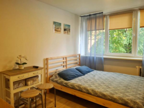 Taikos Studio 7